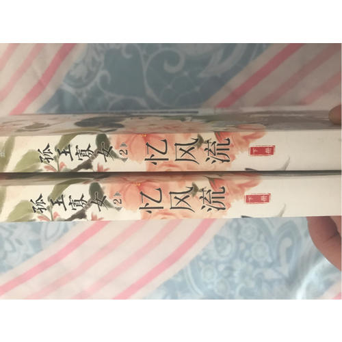 孤王寡女2憶風流（上下冊）