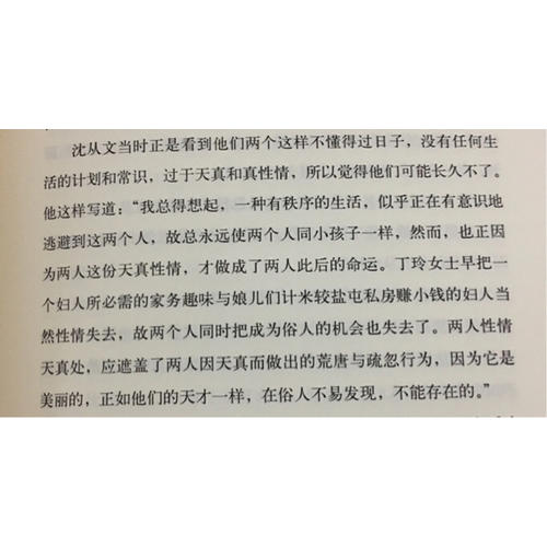 小念頭：戀愛中的沈從文