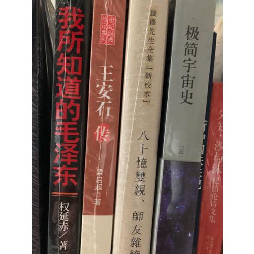 王安石傳