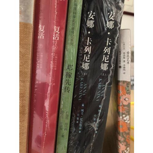 鄧稼先傳