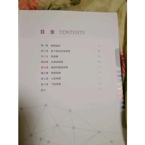 人體筋膜系統功能解剖圖譜