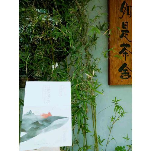 隱世之國·境