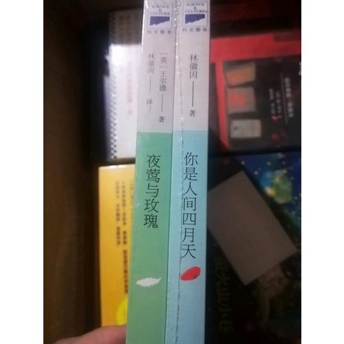 林徽因作品暢銷套裝（全2冊）