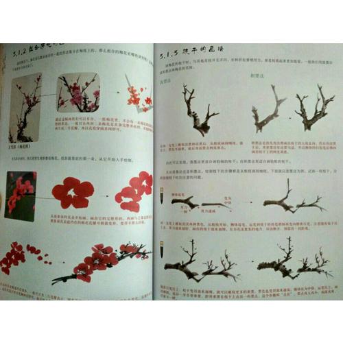 國畫技法從入門到精通 梅蘭竹菊