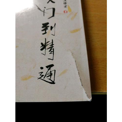 國畫技法從入門到精通 梅蘭竹菊