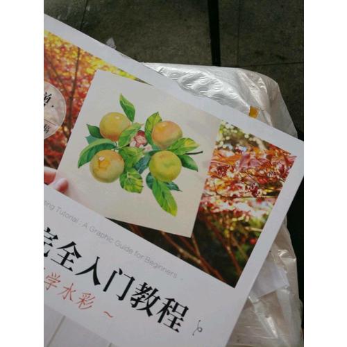 水彩畫入門教程 看圖學水彩