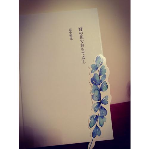 如花在野
