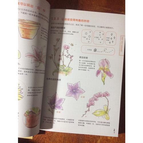 色鉛筆的溫情手繪，我的花花草草
