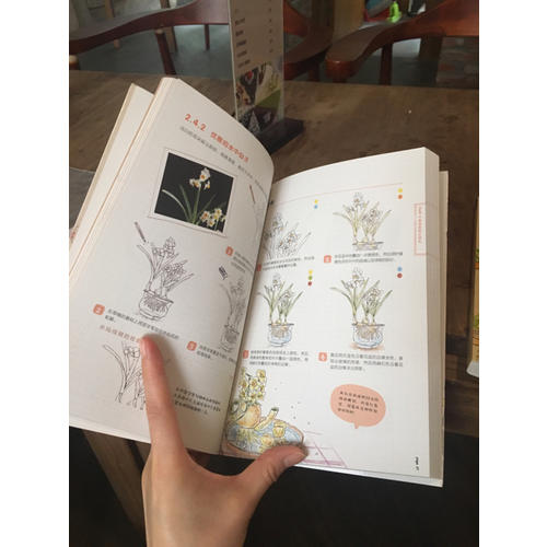 色鉛筆的溫情手繪，我的花花草草