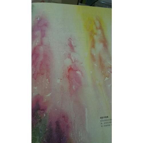 簡·海恩斯的寫意水彩