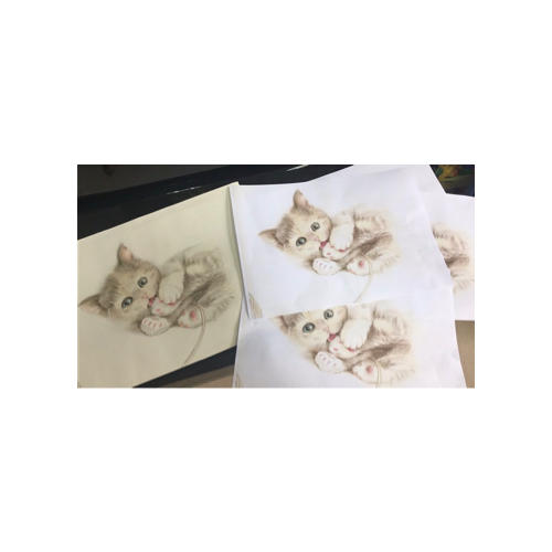 貓咪繪：33只萌貓的色鉛筆圖繪