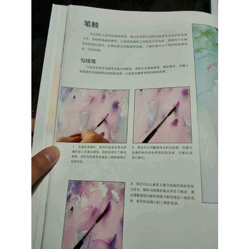 簡·海恩斯的水彩光色瞬間