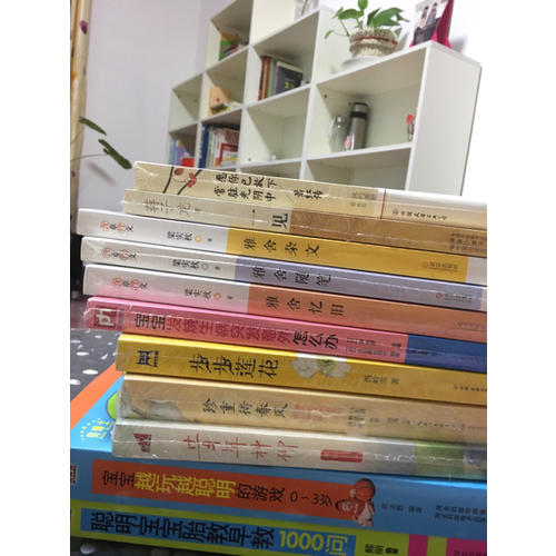 聰明寶寶胎教早教1000問