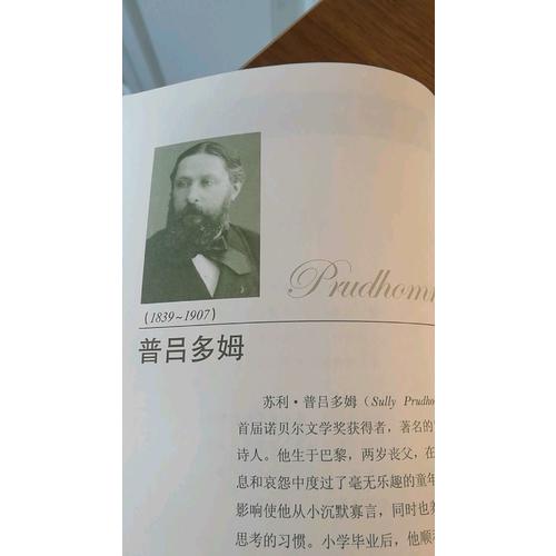 諾貝爾文學獎大系·孤獨與沉思