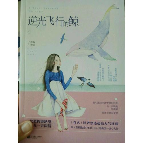 逆光飛行的鯨