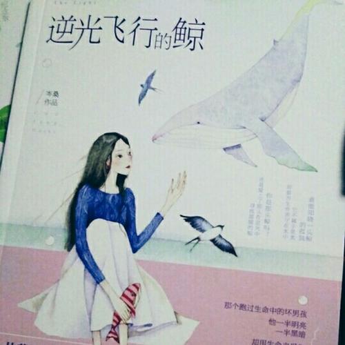 逆光飛行的鯨