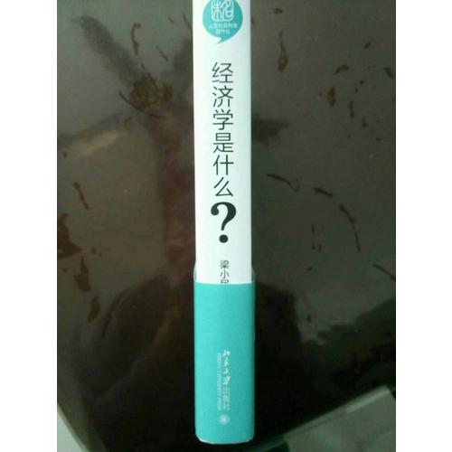 經(jīng)濟學(xué)是什么
