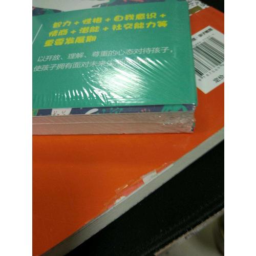 捕捉兒童的敏感期系列（共2冊）
