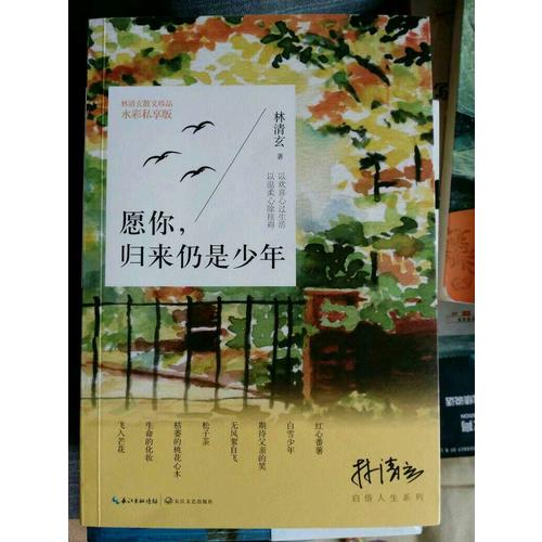 愿你，歸來仍是少年