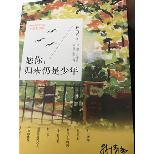 愿你，歸來仍是少年