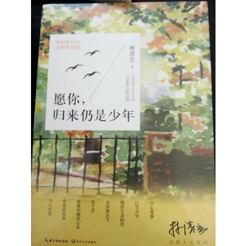 愿你，歸來仍是少年