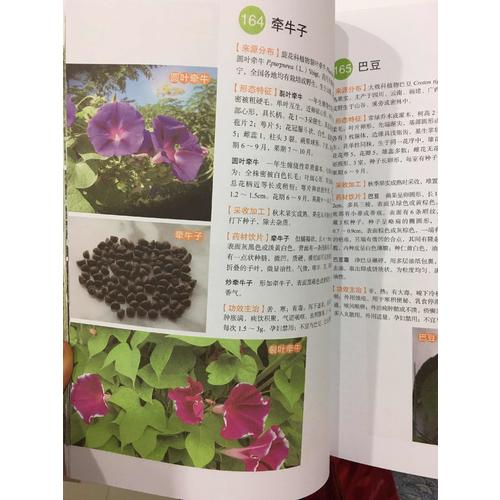 中草藥經典圖譜：學者詳解中藥基原和飲片