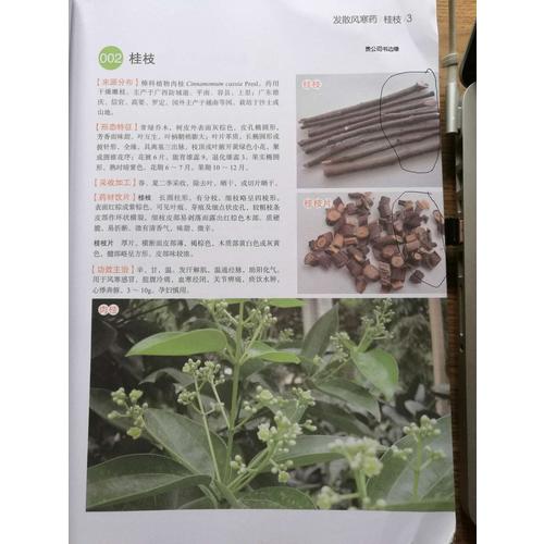 中草藥經典圖譜：學者詳解中藥基原和飲片