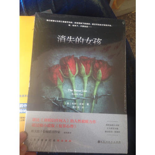 消失的女孩