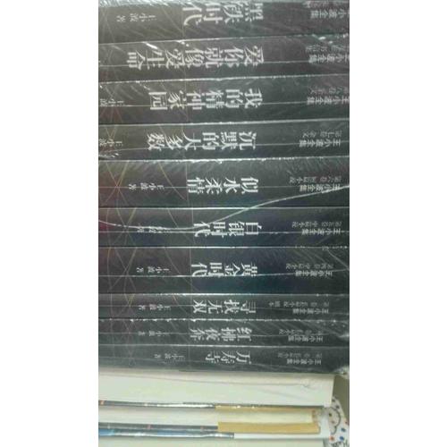 王小波全集（全10冊）