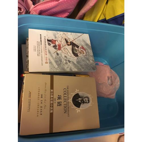 項(xiàng)鏈：莫泊桑短篇小說(shuō)集