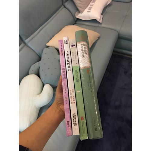 斯.茨威格中短篇小說選