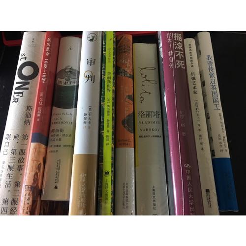 鱷魚街: 布魯諾·舒爾茨小說全集