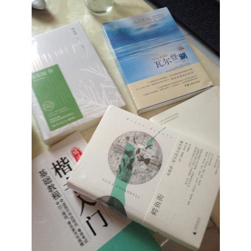 鱷魚街: 布魯諾·舒爾茨小說全集