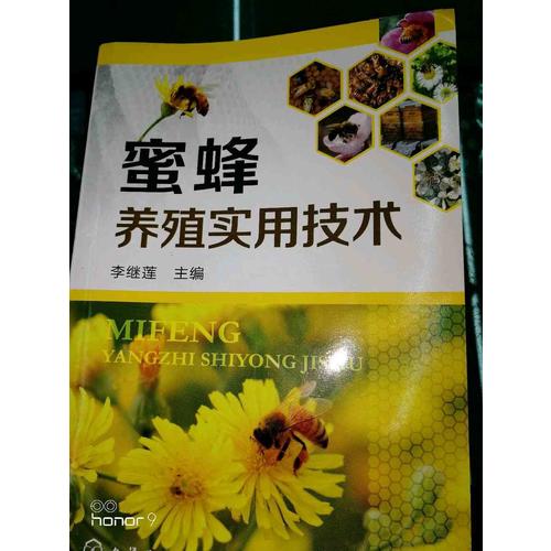 蜜蜂養(yǎng)殖實(shí)用技術(shù)