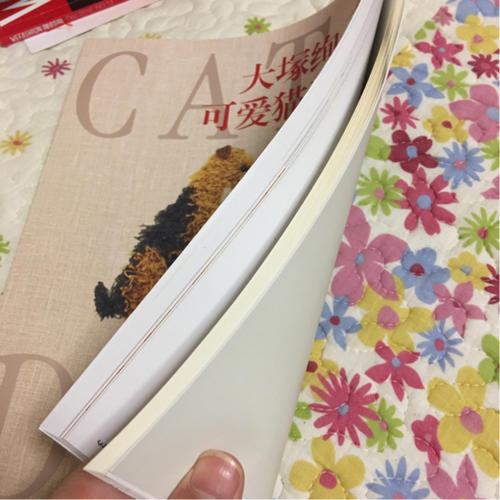 大塚絢子的可愛貓狗刺繡