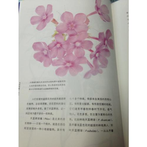 怎樣觀察一朵花——發現花朵的秘密生活