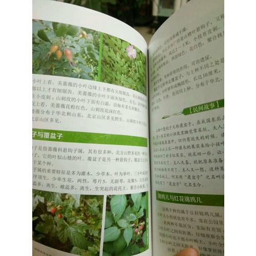 輕輕松松認植物(第二版)