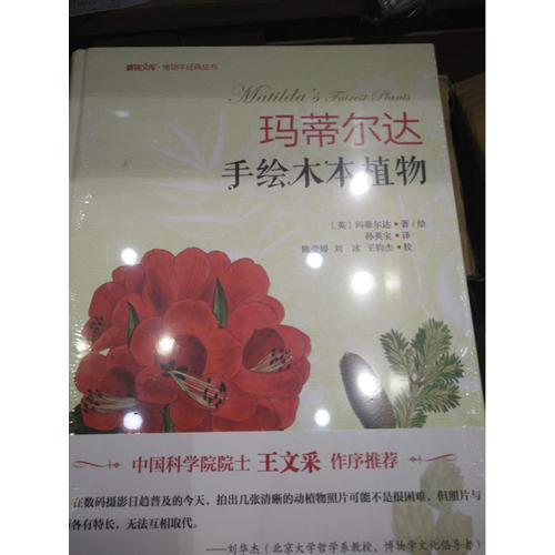 瑪蒂爾達手繪木本植物