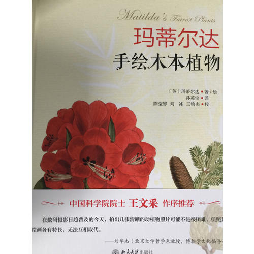 瑪蒂爾達手繪木本植物