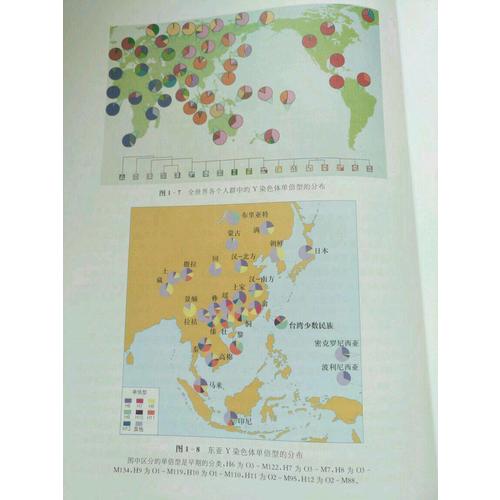 Y染色體與東亞族群演化