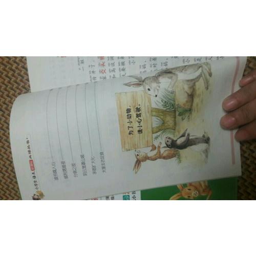 兔子坡·彩圖注音版