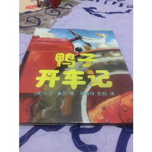 鴨子開車記