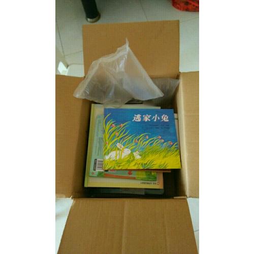 讓路給小鴨子