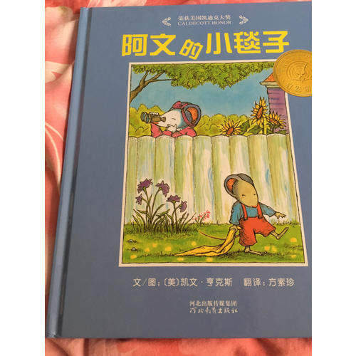 阿文的小毯子