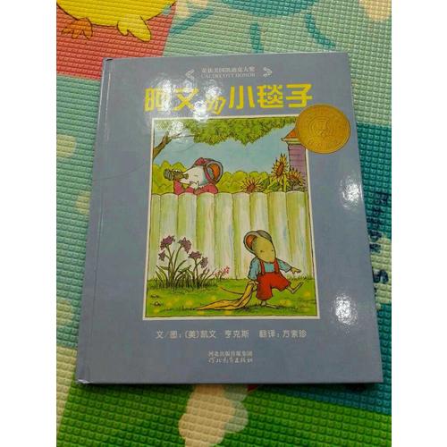 阿文的小毯子