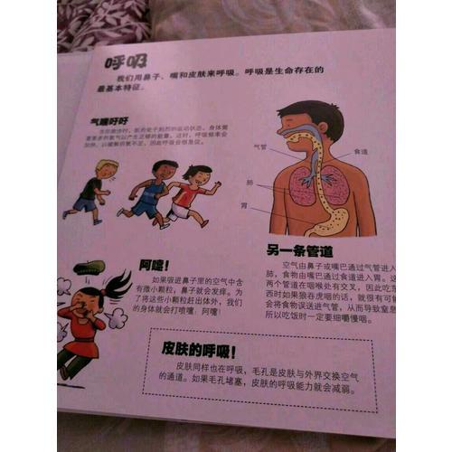 牽著蝸牛去散步