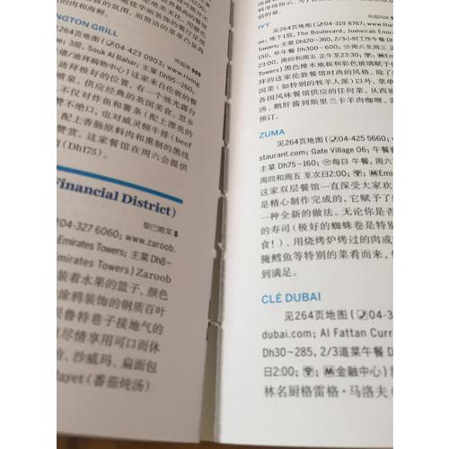 孤獨(dú)星球Lonely Planet國際旅行指南系列:迪拜和阿布扎比