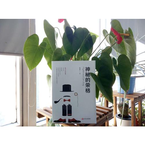 神秘的榮格