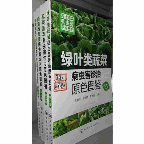 現(xiàn)代蔬菜病蟲(chóng)害防治叢書(shū)·綠葉類蔬菜病蟲(chóng)害診治原色圖鑒（第二版）