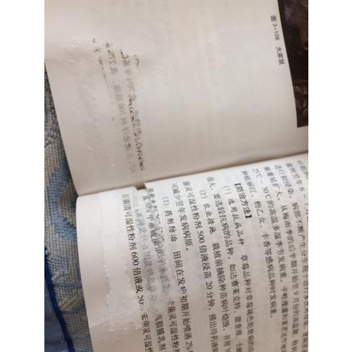 草莓病蟲害診斷與防治原色圖譜